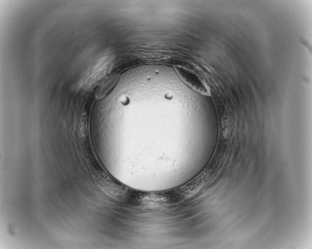 X0000093360515200710251134