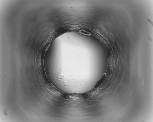 X0000093360516200710251134