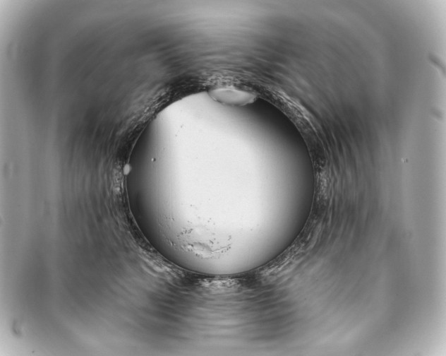 X0000093360517200710251134