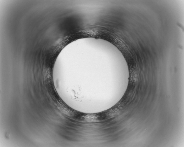 X0000093360518200710251134