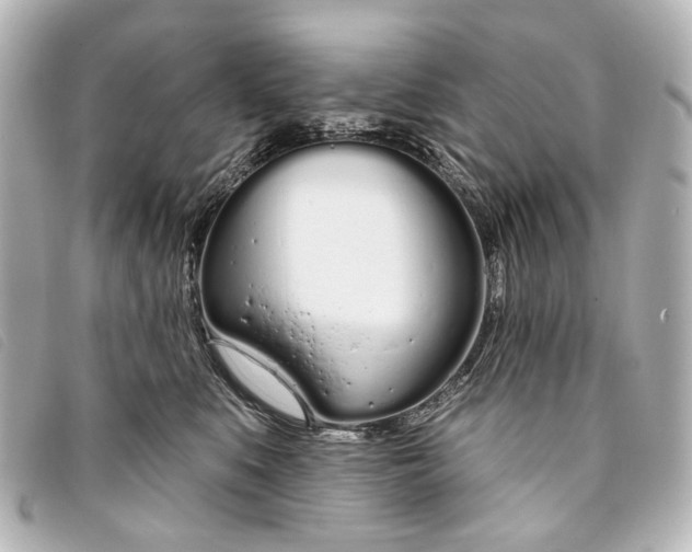 X0000093360519200710251134