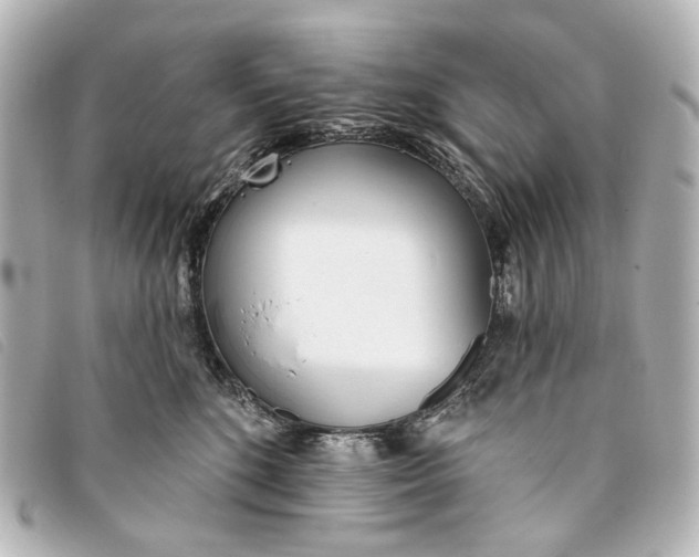 X0000093360520200710251134