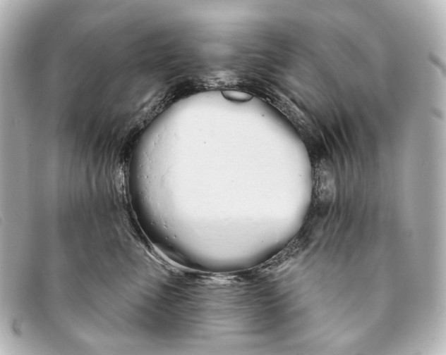 X0000093360523200710251134