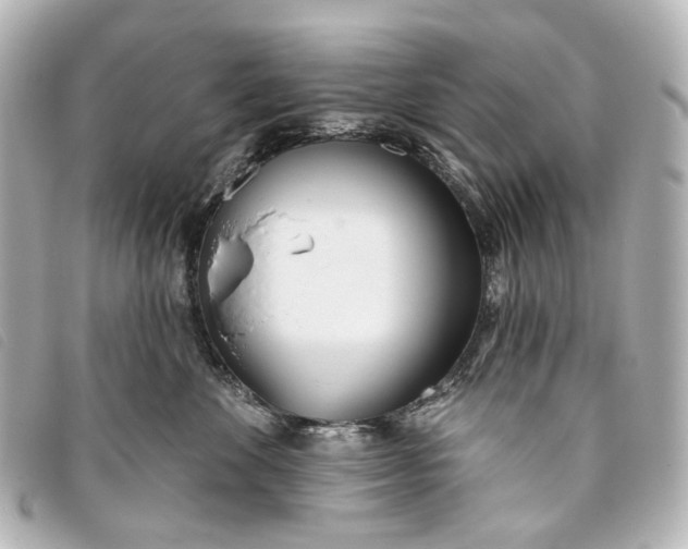 X0000093360524200710251134