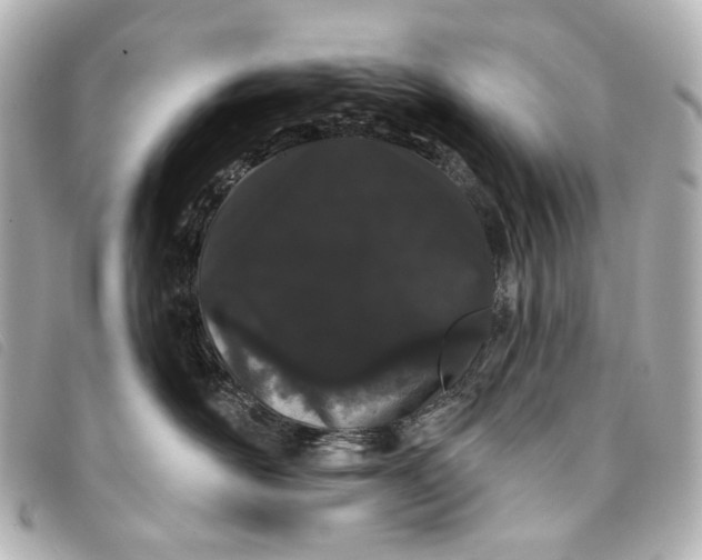 X0000093360526200710251134