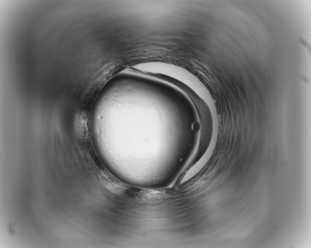 X0000093360527200710251134