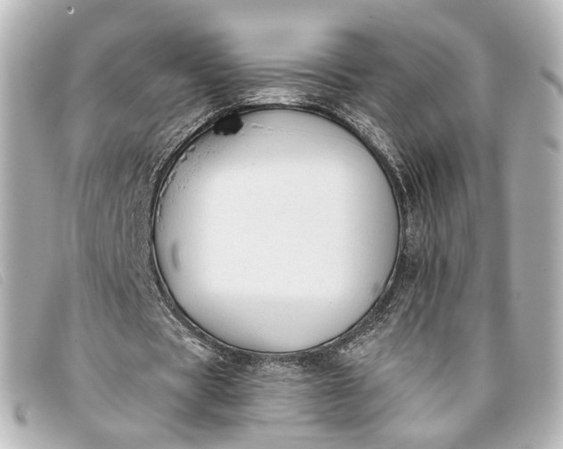 X0000093360529200710251133