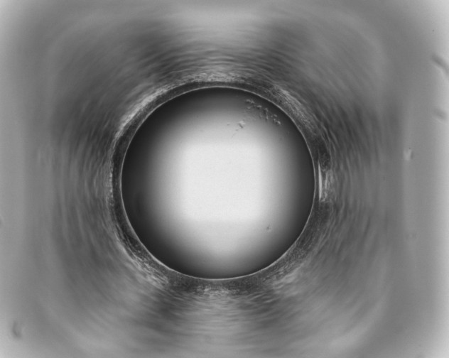 X0000093360531200710251133