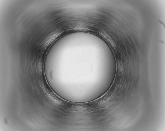 X0000093360533200710251133