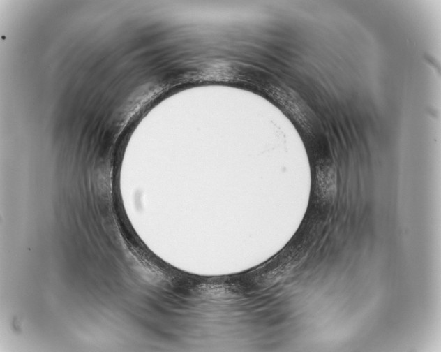X0000093360534200710251133