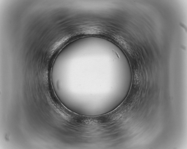 X0000093360535200710251133