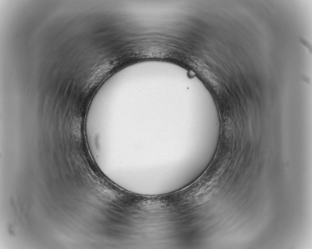 X0000093360537200710251133