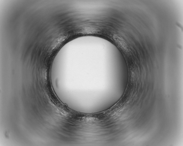 X0000093360539200710251133