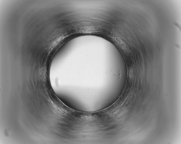X0000093360540200710251133