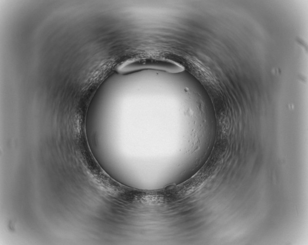 X0000093360546200710251133