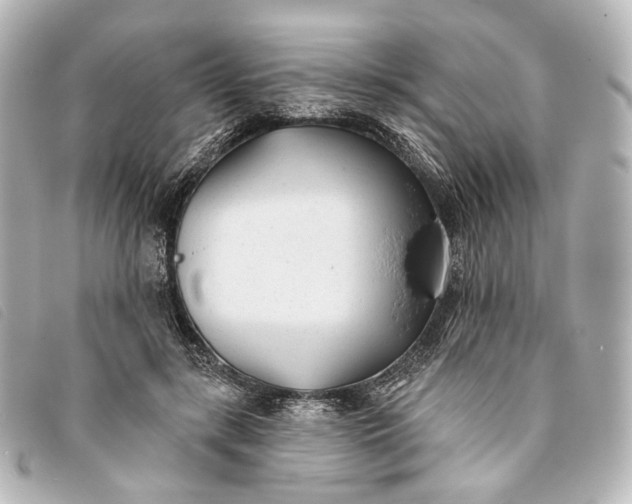 X0000093360547200710251133
