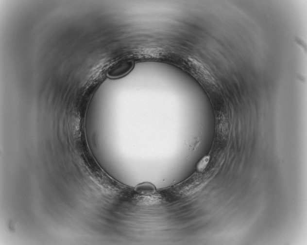 X0000093360548200710251133