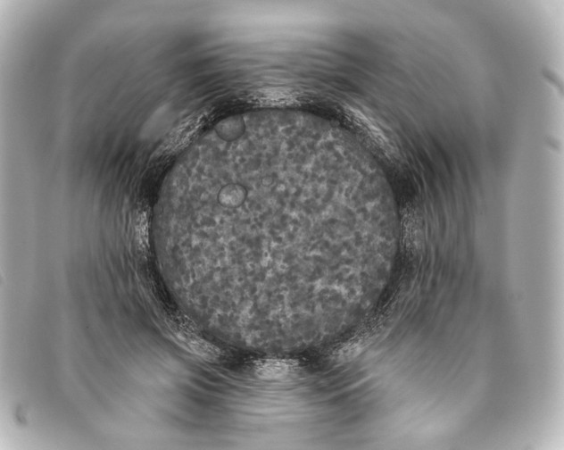 X0000093360549200710251133