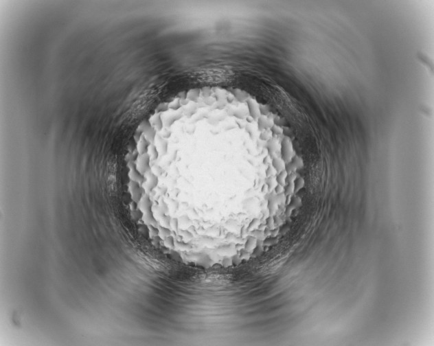 X0000093360553200710251133