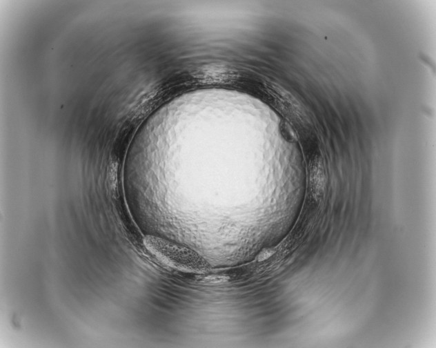 X0000093360554200710251133
