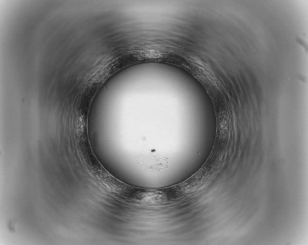 X0000093360555200710251133