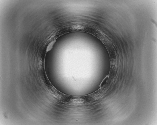 X0000093360556200710251133