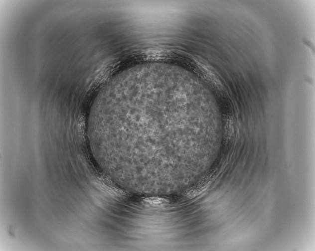 X0000093360557200710251133