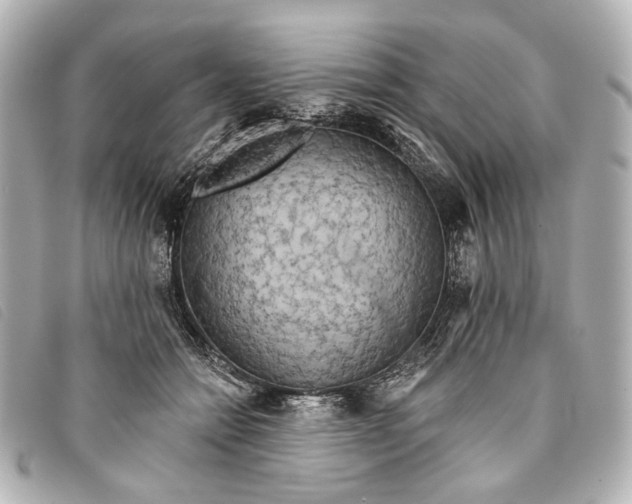 X0000093360558200710251133