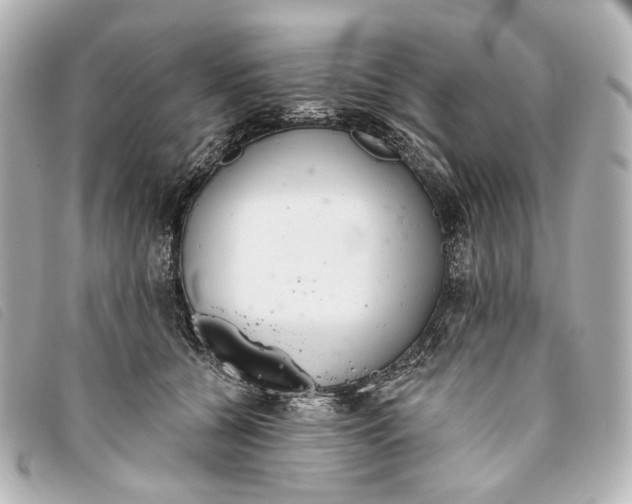X0000093360560200710251133