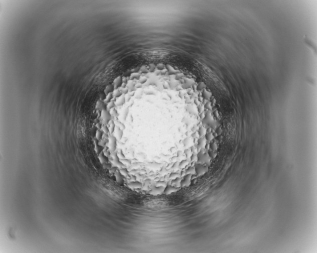 X0000093360561200710251133