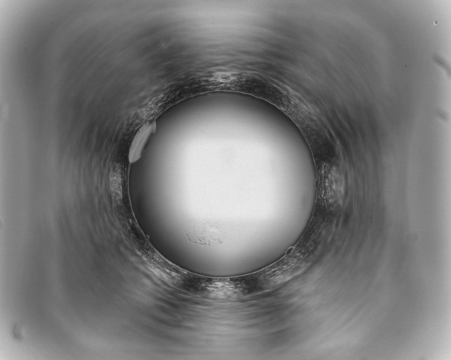 X0000093360562200710251133
