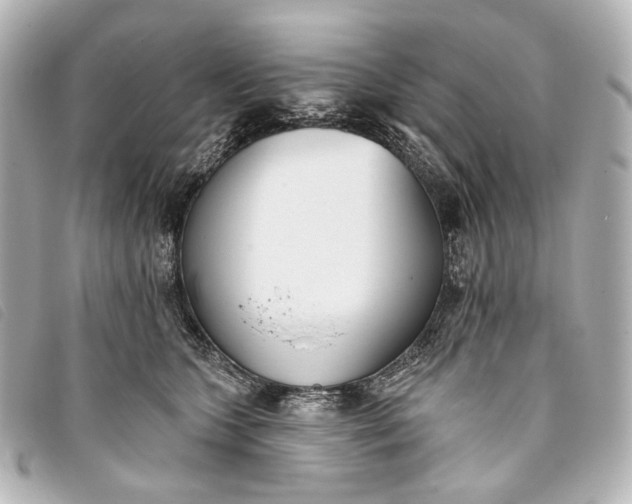 X0000093360563200710251133
