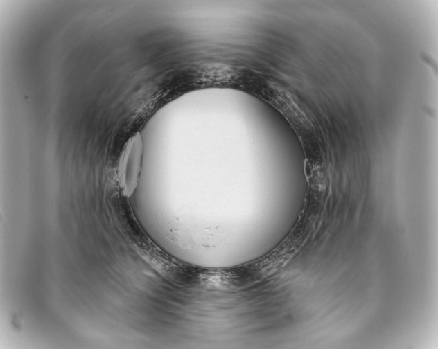 X0000093360564200710251133