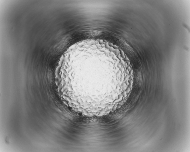 X0000093360565200710251133