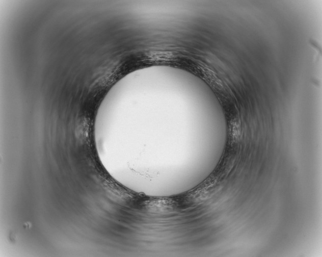 X0000093360567200710251133