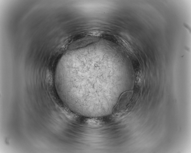 X0000093360568200710251133