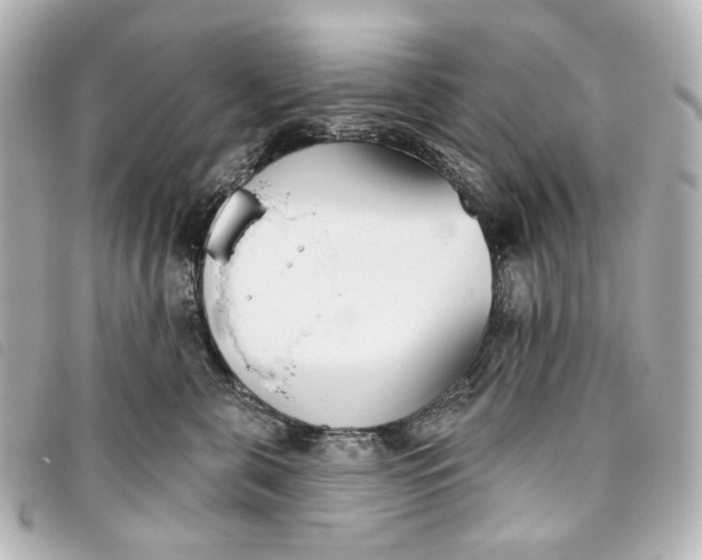 X0000093360571200710251134