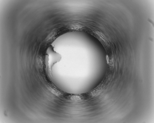 X0000093360572200710251134