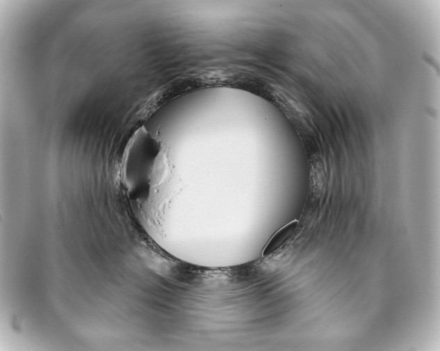 X0000093360574200710251134