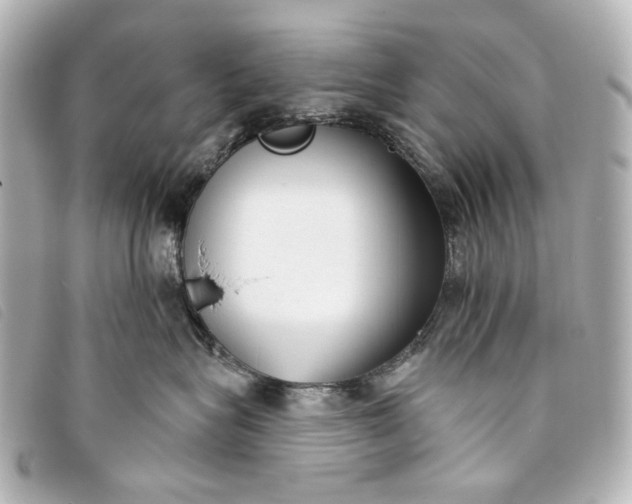 X0000093360575200710251134