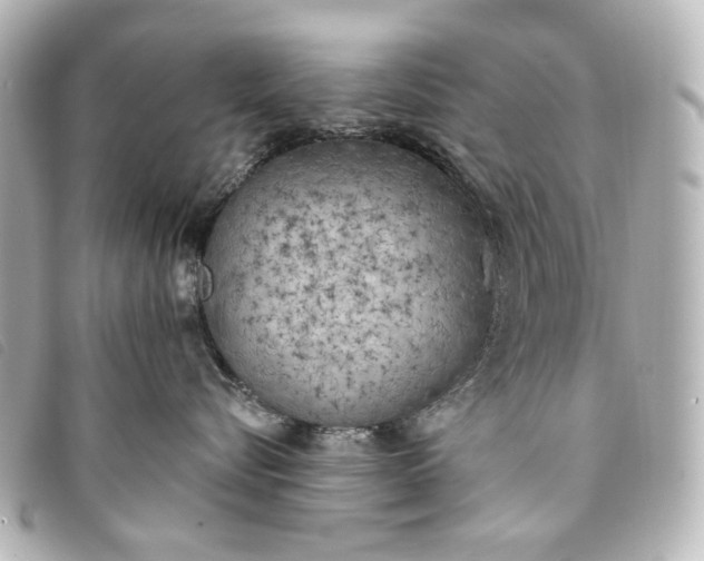 X0000093360576200710251134