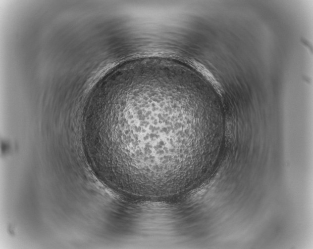 X0000093360577200710251133