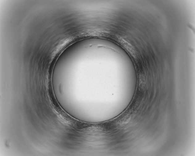 X0000093360578200710251133