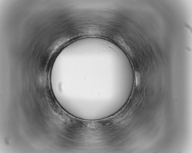 X0000093360579200710251133