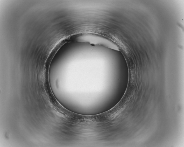 X0000093360580200710251133