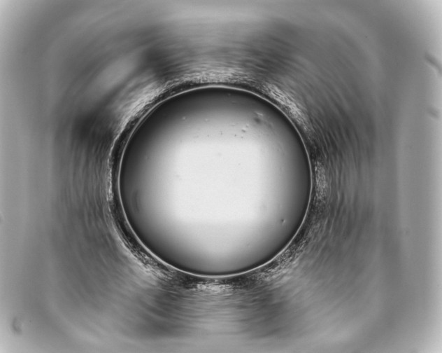 X0000093360582200710251133