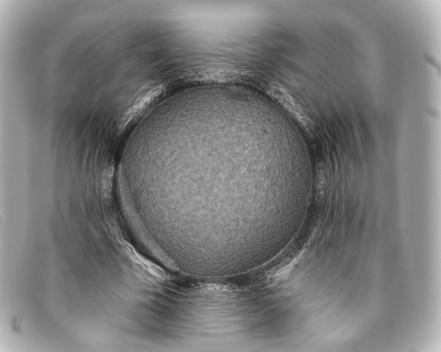 X0000093360585200710251133