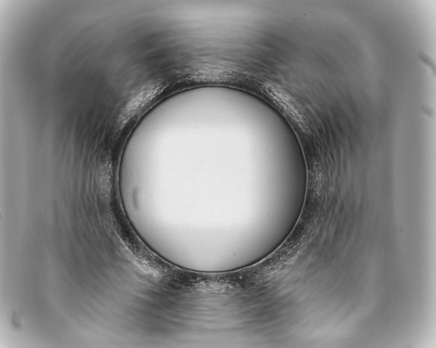 X0000093360586200710251133