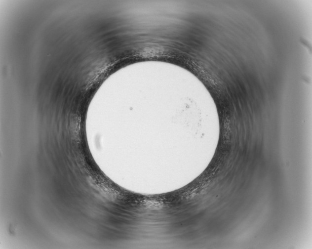 X0000093360592200710251133