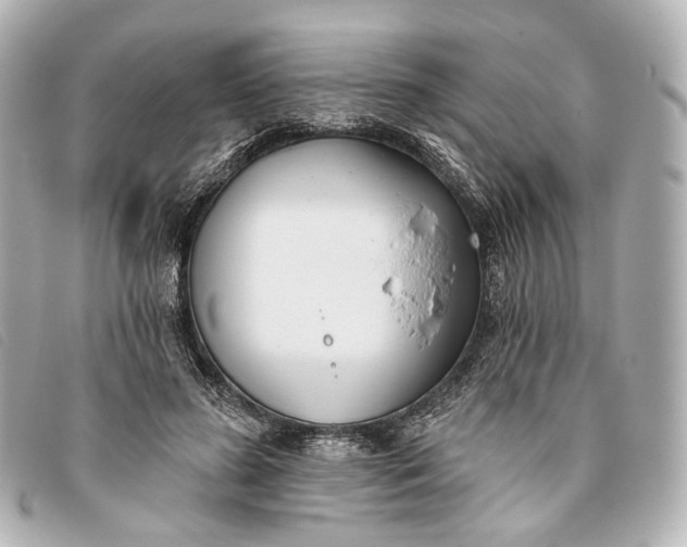 X0000093360596200710251133
